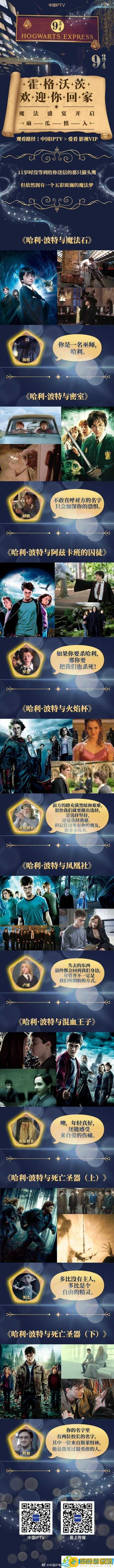 霍格沃茨双人决斗-策略与魔法的对决