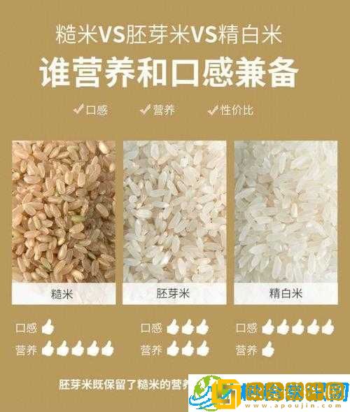 精二和精三的区别-提升幅度与能力侧重