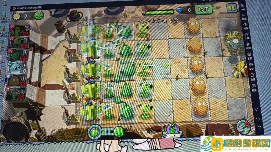 植物大战僵尸 2 阳光收集攻略-让你的花园繁荣不衰