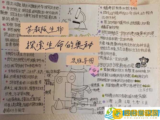 生物老师的亲身教学-探索生命奥秘之旅