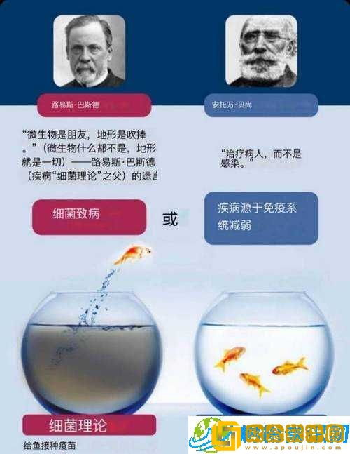 撅起来-自己报数-姜实践-探索未知的实践之旅