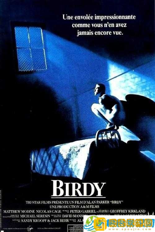 《密不可分-Indivisible加血方法解析》