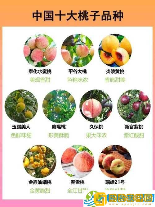 精产国品一二三产品蜜桃-优质水果之选