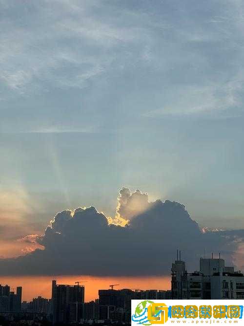 天天综合天天-精彩内容不断呈现