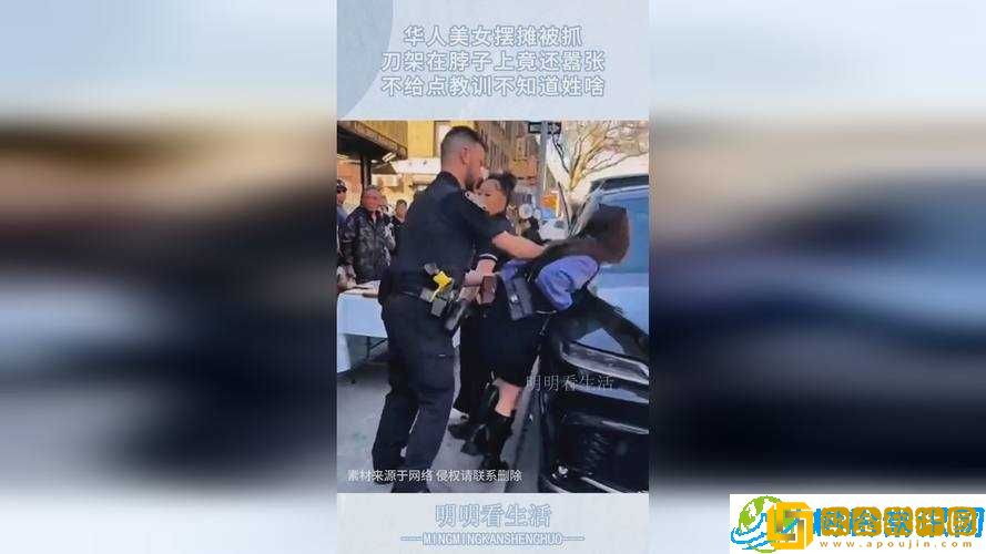 生猴子不盖被子视频-趣味行为引发关注