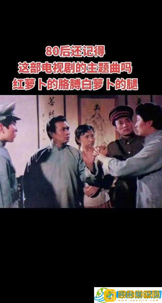 免费观看萝卜大全电视剧-精彩剧情等你