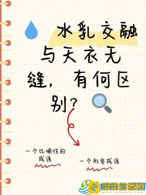 水乳交融VS天衣无缝的区别-深度解析与对比
