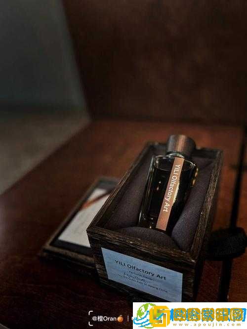 乂乂乂乂乂BB-全新视角解读