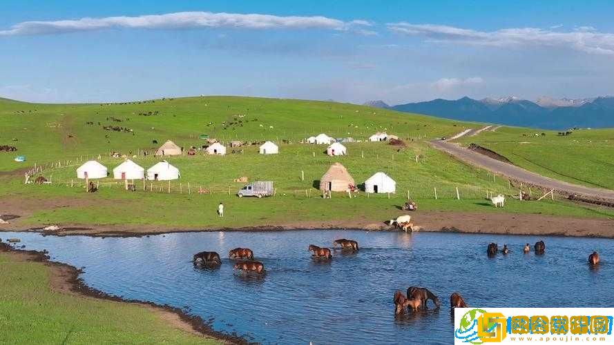 新疆waswaskino-独特风情与魅力所在