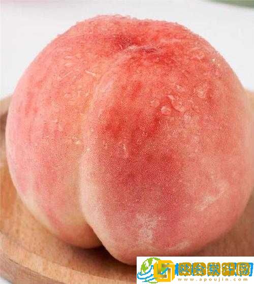 水蜜桃精品一二三-美味诱人的精选佳果