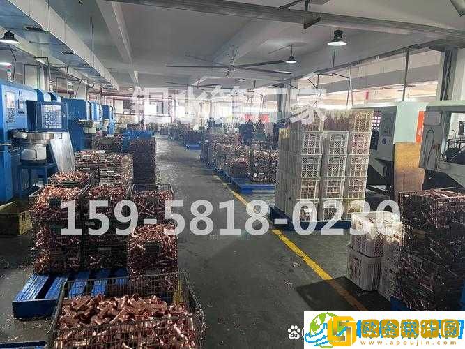 铜铜铜铜铜铜铜铜好大好深板-动-无病毒之探究