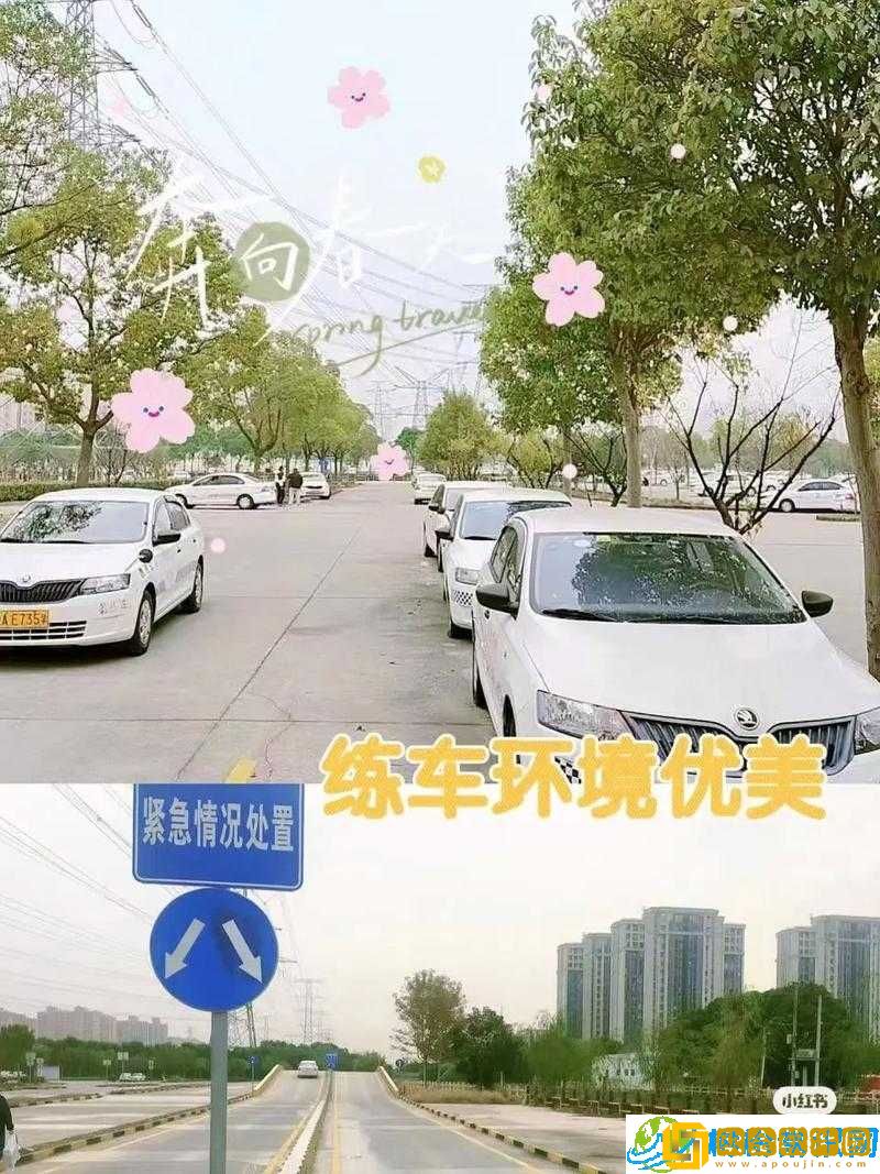 韩萌萌和刘教练练车叫什么名字-探索练车背后的故事