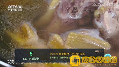 三女一男cp免费观看电视剧海外版