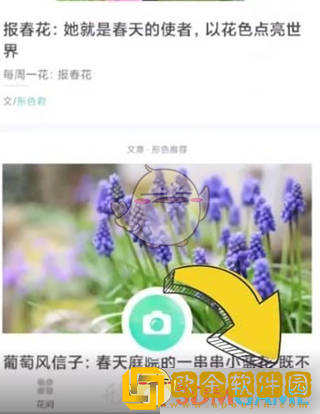 形色app怎么删除待鉴定图片