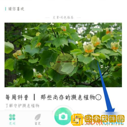 形色app怎么改名