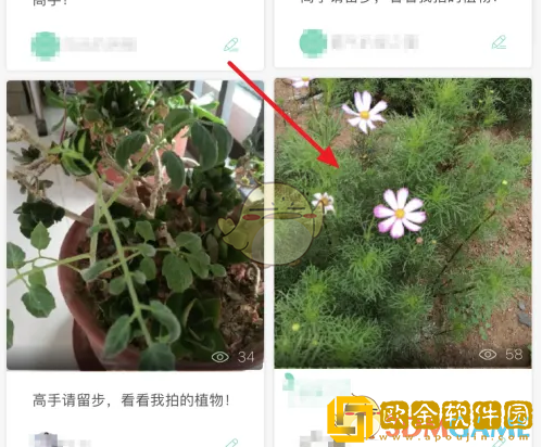 形色app怎么发布鉴定