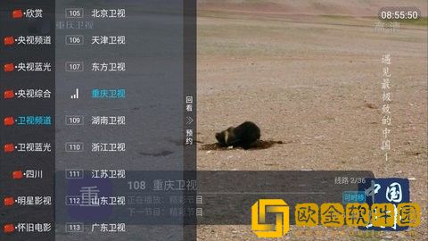 两富婆轮流上阵下一句歇后语是什么青春版