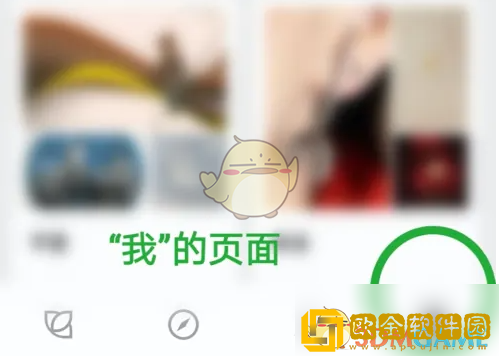 花瓣app怎么上传图片