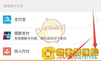 苏宁易购怎么找人代付