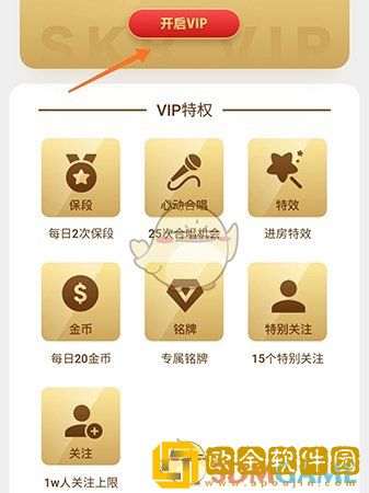 撕歌怎么开会员