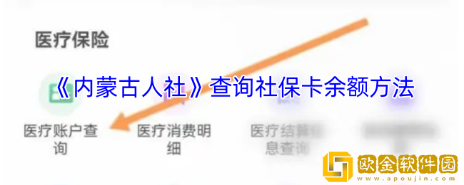 内蒙古人社app怎么查询余额-查询社保卡余额方法