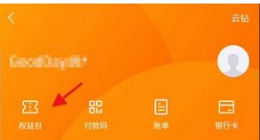 苏宁易购怎么看消费金