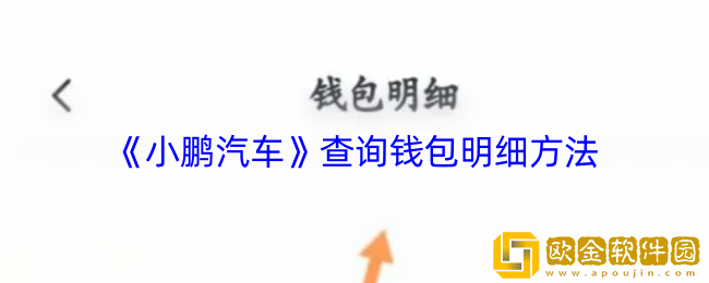 小鹏汽车app怎么查询明细-查询钱包明细方法