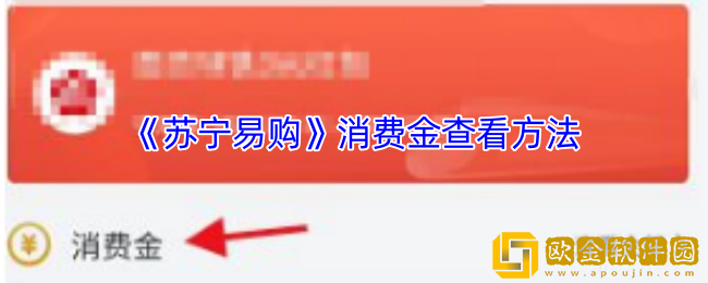 苏宁易购怎么看消费金-消费金查看方法