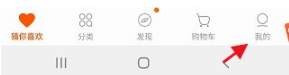 苏宁易购怎么看消费金