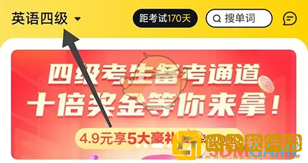 考试蚁怎么选择考试科目