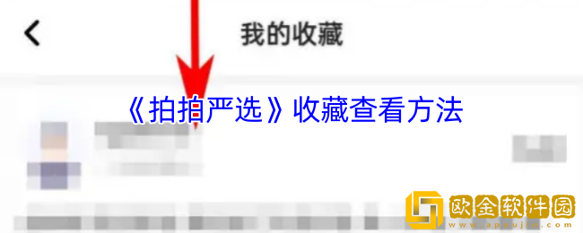 拍拍严选怎么看收藏-拍拍严选收藏在哪里