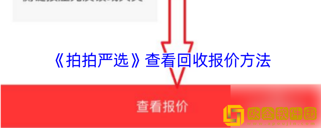 拍拍严选怎么查看回收价格-查看回收报价方法