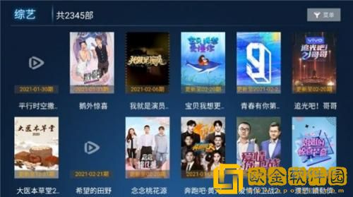 电影《金悔瓶》免费观看正式版