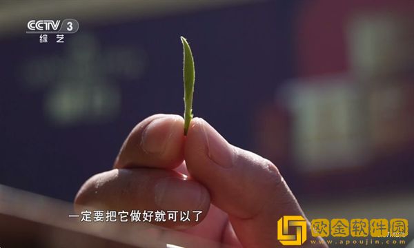 《玉浦困之初入桃花之风雨山应》高清免VIP版下载-《玉浦困之初入桃花之风雨山应》高清极速流畅版下载v7.10