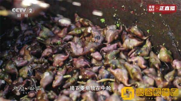 44444在线观看免费播放电视剧下载-44444在线观看免费播放电视剧无障碍语音版下载v8.16