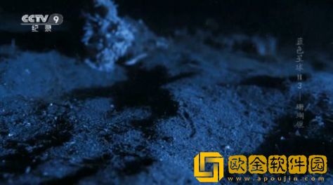 ysl水蜜桃86满十八和88区别无限制版