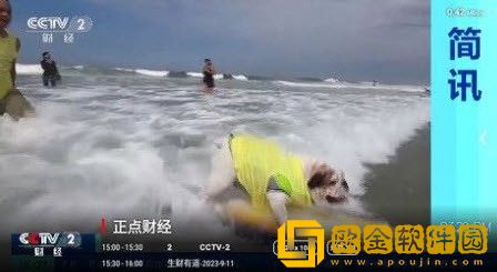 菠萝蜜在线观看免费播放电视剧钻石版