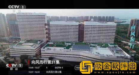 菠萝蜜在线观看免费播放电视剧钻石版