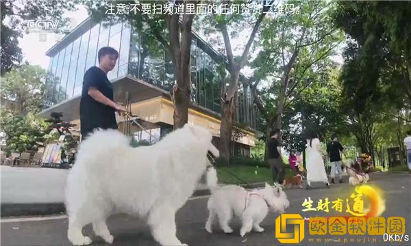 菠萝蜜在线观看免费播放电视剧电视版下载-菠萝蜜在线观看免费播放电视剧安卓影视纯净版下载v3.16