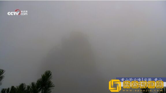 日本老头儿媳妇相依为命的电视剧试用版