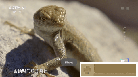 《妹妹长大了》动漫全集鸿蒙版