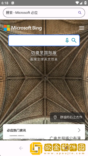 轻览二次元浏览器app下载