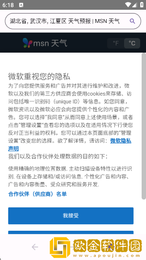 轻览二次元浏览器app下载