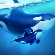 小小水世界正版下载安装（World of Water安装器）