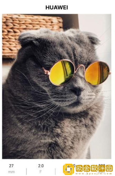 小猫边框下载安装最新版