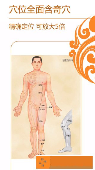 经络养生软件下载安装手机版