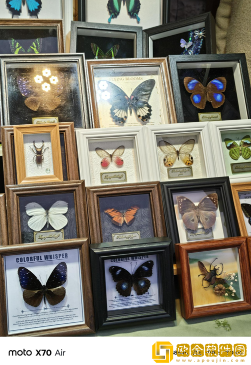 轻薄手感拉满+AI加持