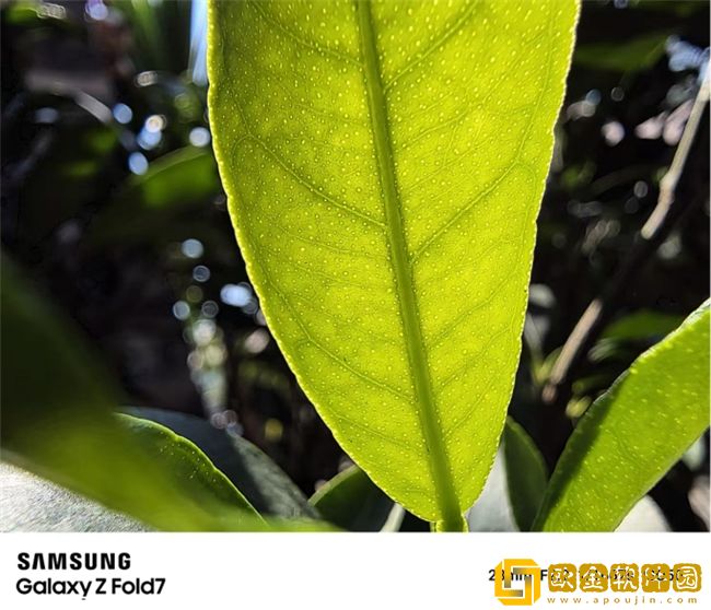 2亿像素超清影像领衔