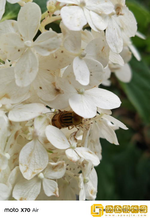 轻薄手感拉满+AI加持