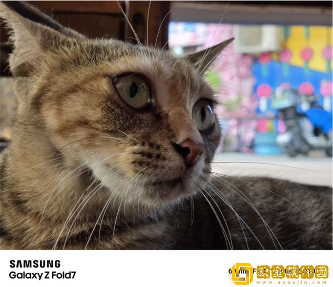 2亿像素超清影像领衔